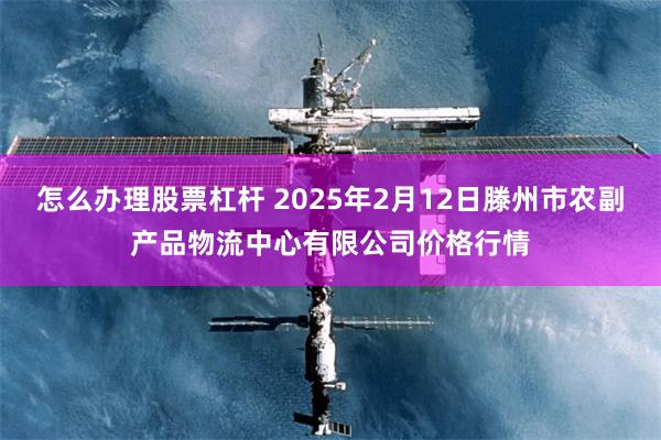 怎么办理股票杠杆 2025年2月12日滕州市农副产品物流中心有限公司价格行情