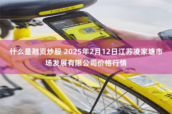 什么是融资炒股 2025年2月12日江苏凌家塘市场发展有限公司价格行情