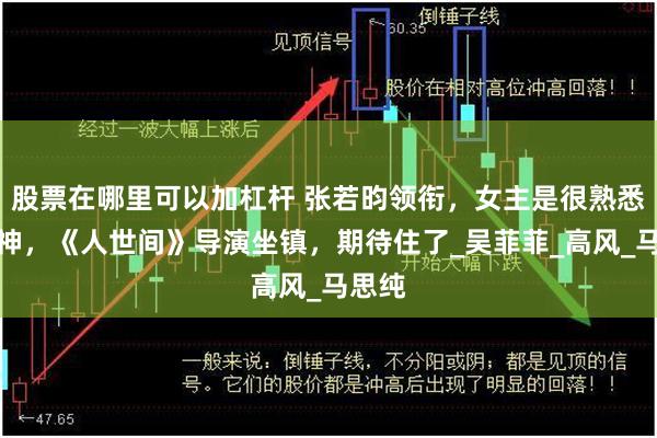 股票在哪里可以加杠杆 张若昀领衔，女主是很熟悉的女神，《人世间》导演坐镇，期待住了_吴菲菲_高风_马思纯