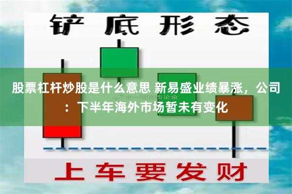 股票杠杆炒股是什么意思 新易盛业绩暴涨，公司：下半年海外市场暂未有变化
