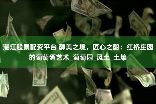湛江股票配资平台 醇美之境，匠心之酿：红桥庄园的葡萄酒艺术_葡萄园_风土_土壤