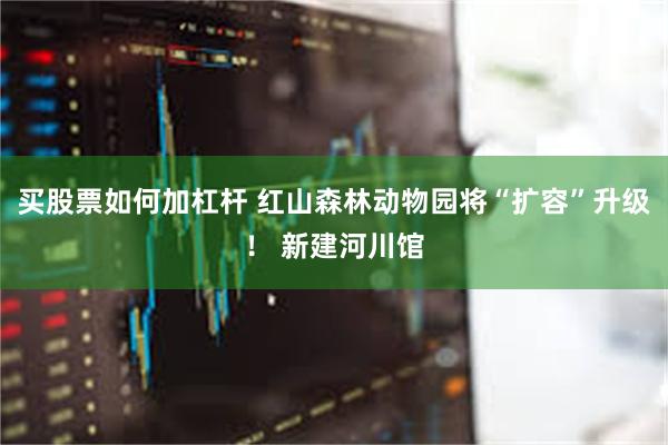 买股票如何加杠杆 红山森林动物园将“扩容”升级！ 新建河川馆